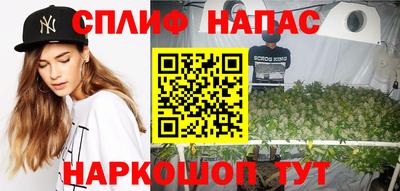 трава Партизанск