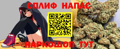 трава Партизанск
