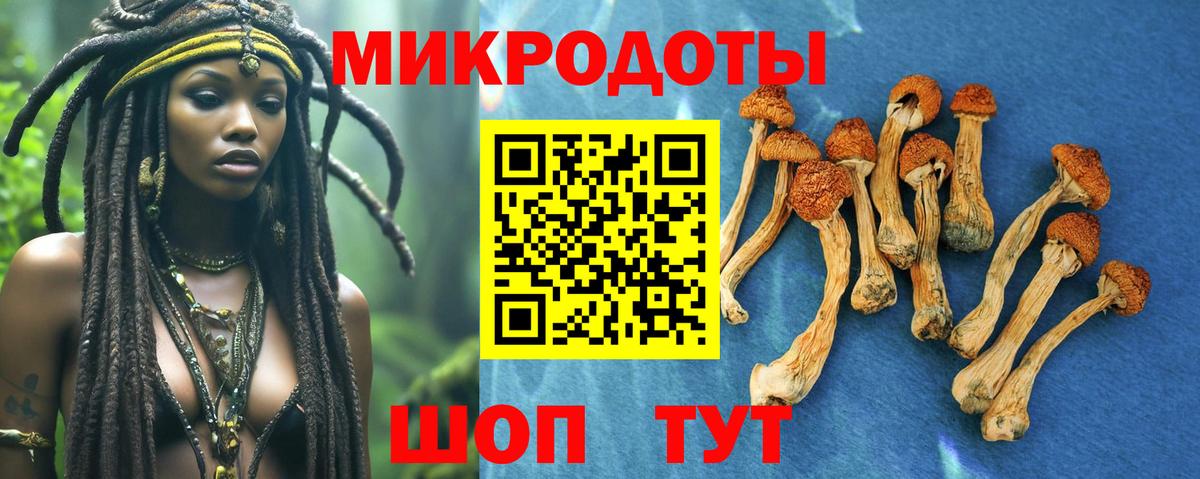 Псилоцибиновые грибы мухоморы  Вход с VPN  Симферополь  Псилоцибиновые грибы ЛСД 